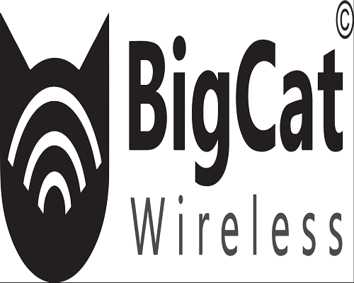 Bigcat Wireless Private Limited